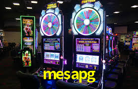 mesapg,mesapg.com