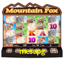 mesapg app