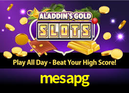 mesapg app